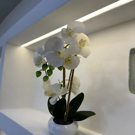 Sea View Apartament. Luxury Area In Beach. Apartman